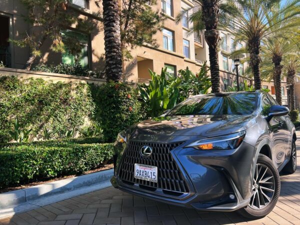 Lexus NX 2022